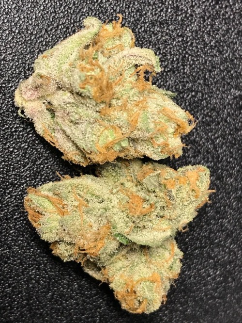 dewaxed - Couple of White Tahoe Cookies nugs that were gifted to...
