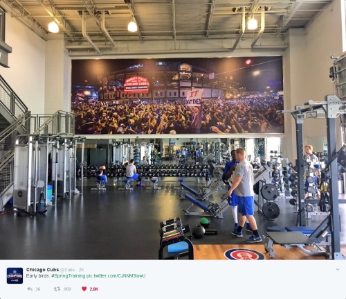 emergentpattern - The Cubs’ Spring Training Workout Room...
