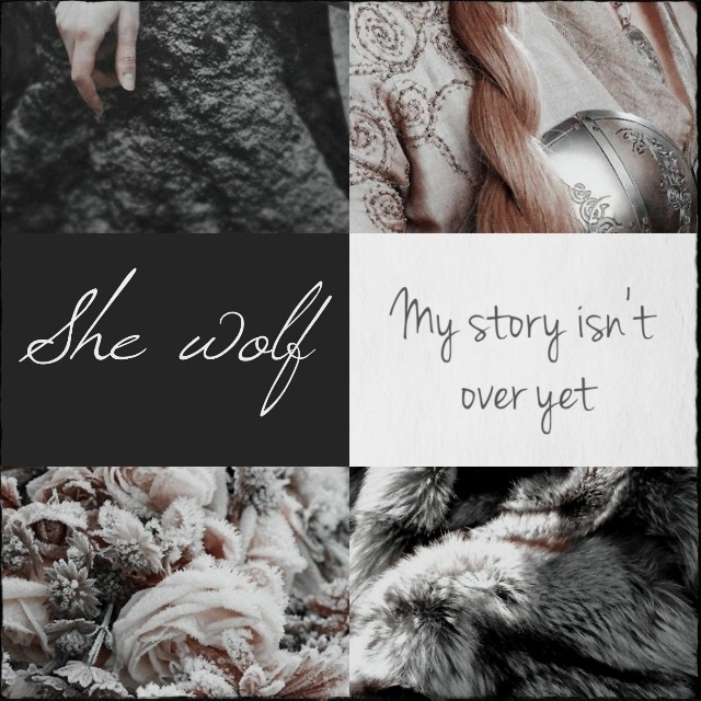 when the snow falls and the wind blows the lone wolf dies but the pack survives. Tumblr_ovym4y7PDi1vpkx6yo1_640
