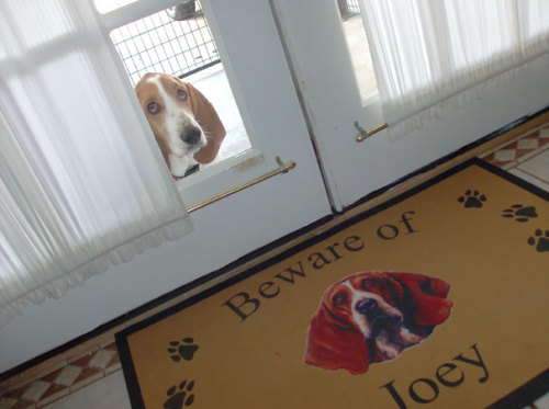 awesome-picz - Dangerous Dogs Behind “Beware Of Dog” Signs.