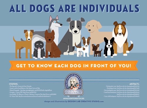 veterinaryrambles - vet-trek - All dogs are individuals....