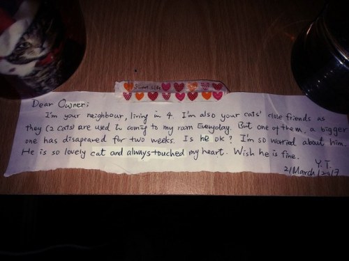 catsbeaversandducks - Couple Mourning Their Cat Find a Note from...