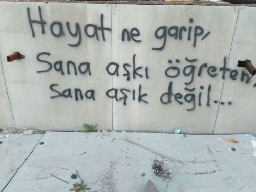 sokaktakiduvar - diyojeninficisi - İstanbul/Karaköy@sokaktakiduva...