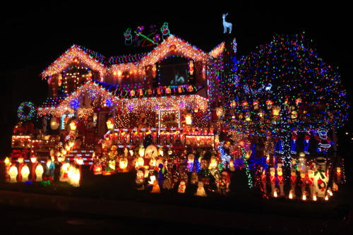 english-fitz:the-chilly-seasons:Christmas lights appreciation...