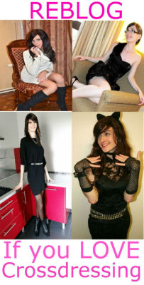 Sissy in Illinois looking for a daddy or mistress,