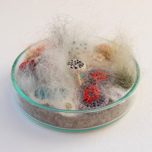 rgfellows - itscolossal - Crocheted and Embroidered Bacteria...