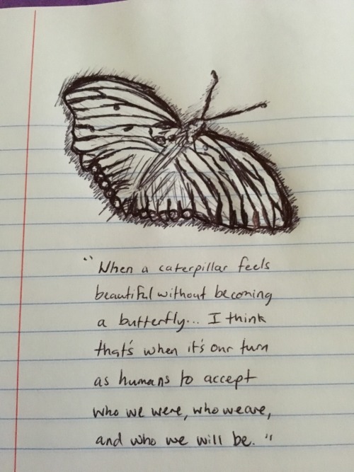 butterfly quotes on Tumblr