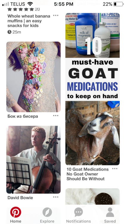 Some algorithm told Pinterest I have goats (I guess???) and now...