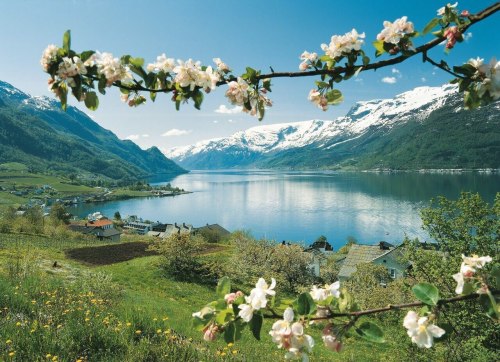 wanderlusteurope:Pretty village, Norway
