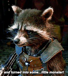 Rocket Raccoon | THE HUNTERS تقرير | The Biggest Idiots In The Universe  Tumblr_oqafwc0Whv1ucaesvo3_400