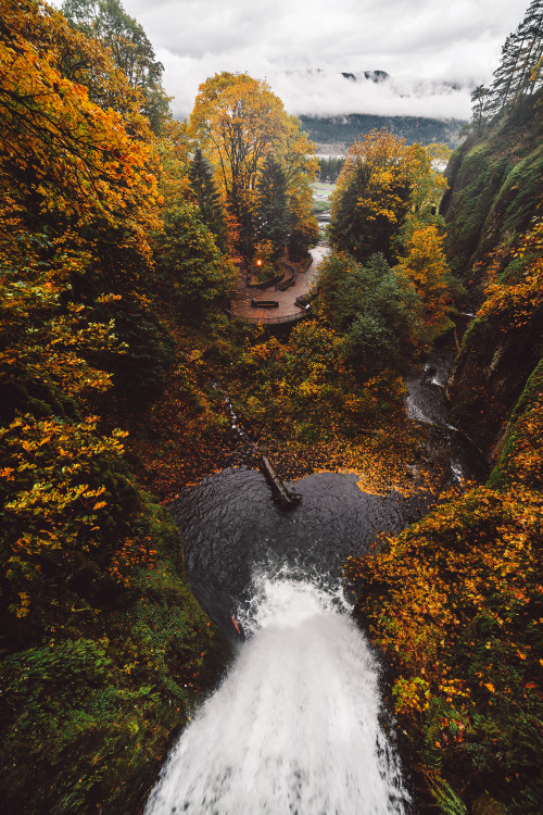 brianstowell - Autumn & Winter at Multnomah Falls, Oregon. A...