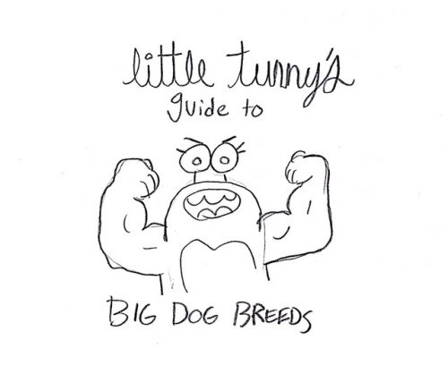 little-tunny - Guide to big dog breeds from my Instagram!guide...