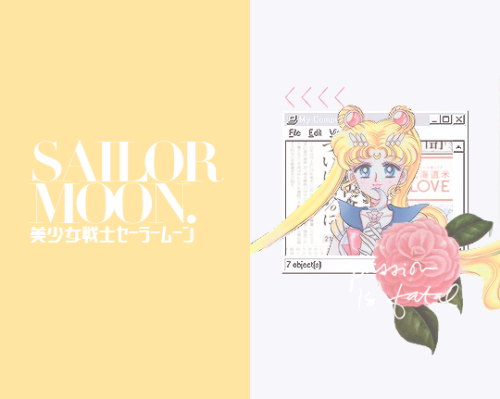 sailormoone - In the name of the Moon, I will punish you!