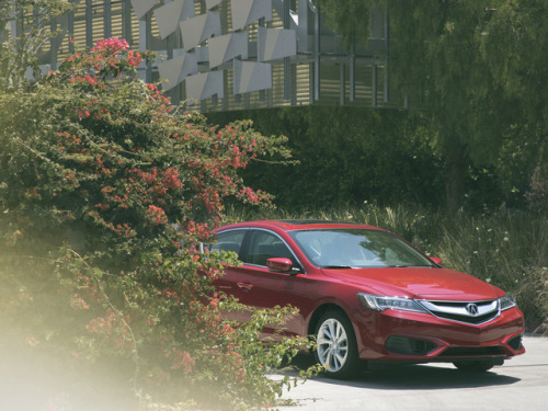 The kind of look that always stands out. #ILX