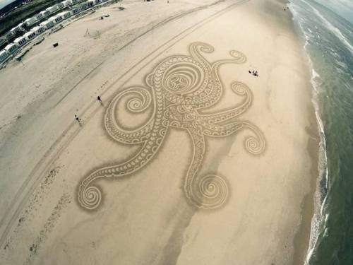 steampunktendencies - Giant Octopus Drawn on a beach Steampunk...