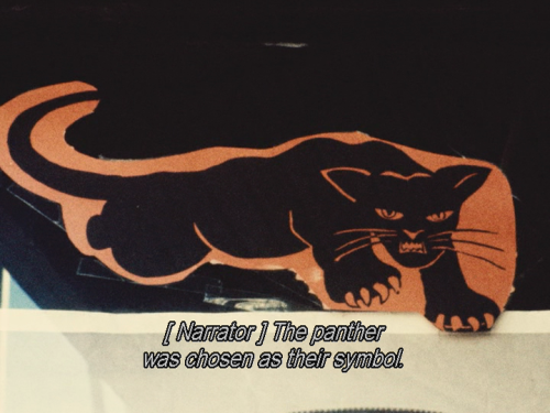 xavrdolan - Black Panthersdir. Agnes Varda
