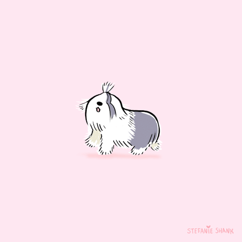 stefanieshank - sheepdogblog / instagram