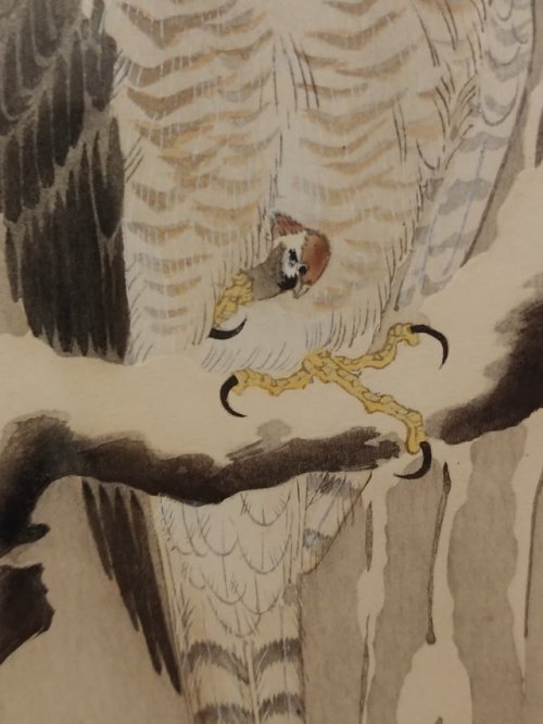 conveniitekuru - 遊行七恵さんのツイート - “おわかりだろうか。 猛禽の爪に囚われた雀がいることを。...