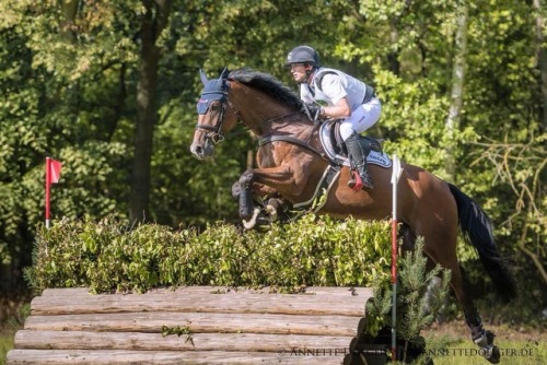 equinelse - transperceneige - Michael Jung in the CIC 1* in...