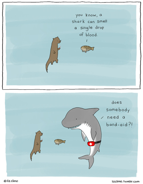 lizclimo - good luck getting that band-aid to stick. 