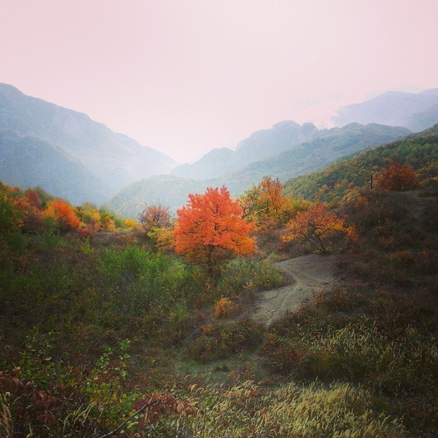 Happy autumn from the Caucasus Mountains near Lahic, Azerbaijan.