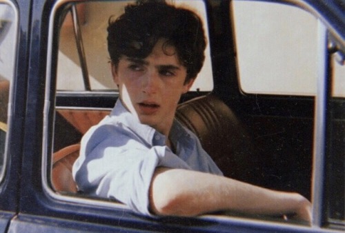 indixie - Timothée Chalamet in Call Me By Your Name (2017)