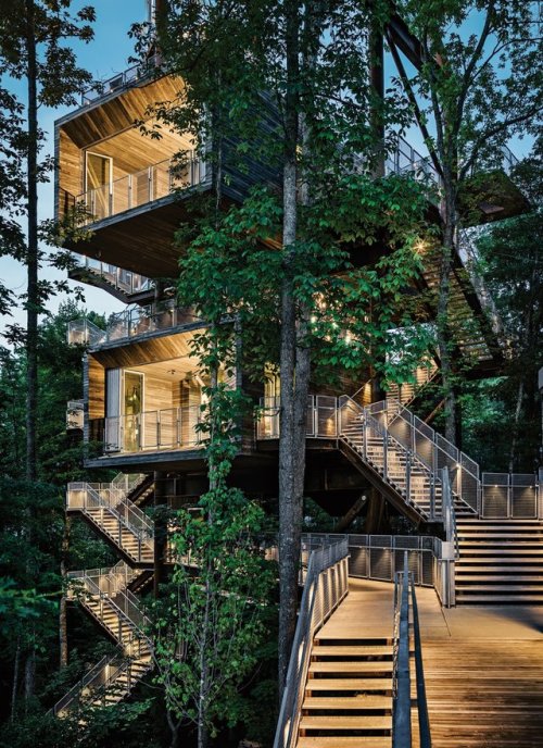theautomaticpencil - Sustainability Tree House by Mithun