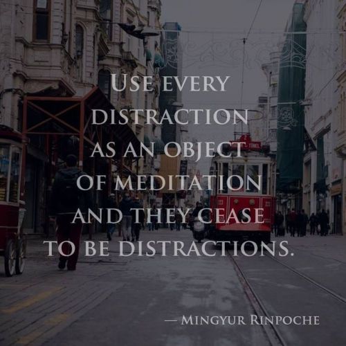 wectar:Use every distraction as an object of meditation and they...
