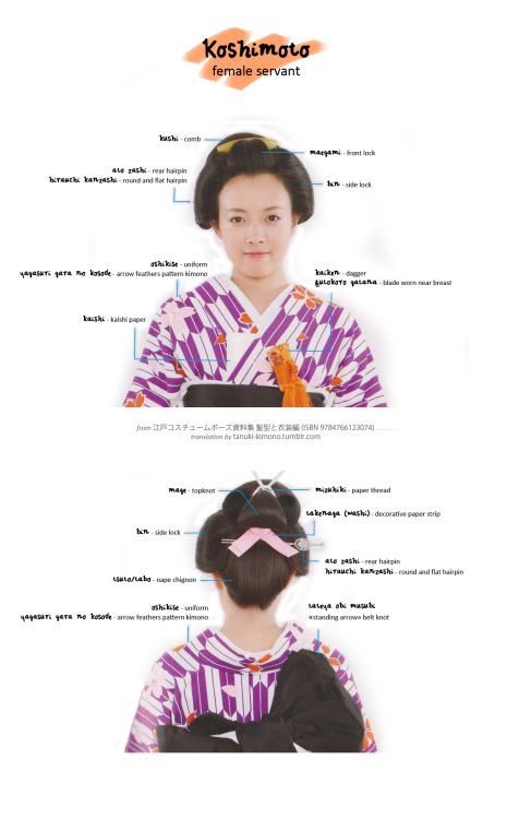 tanuki-kimono - 2/8 - female servant old-Edo costume [full size...