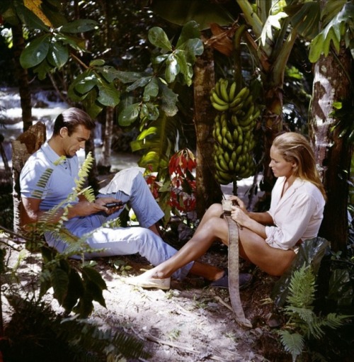 thegoldenyearz - Sean Connery and Ursula Andress in Dr. No...
