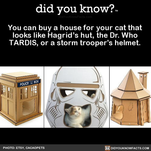 you-can-buy-a-house-for-your-cat-that-looks-like