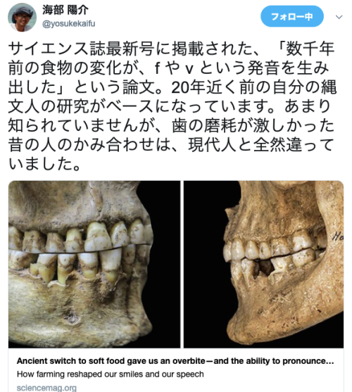 takamasa - 海部 陽介さんのツイート - “サイエンス誌最新号に掲載された、「数千年前の食物の変化が、f や v...
