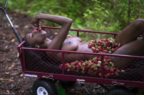 yesnibbles - The strawberry girl set