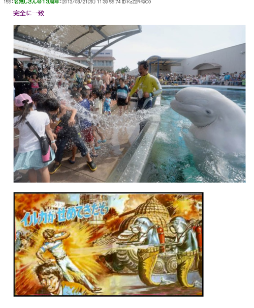 mekarauroco - 暇人＼(^o^)／速報  - 【画像あり】イルカ、口に含んだ海水を観客に吹きかける -...