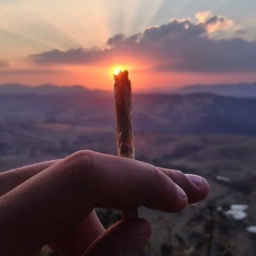 420weedmashine - smoke a joint