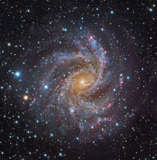 Facing NGC 6946 by Robert Gendler