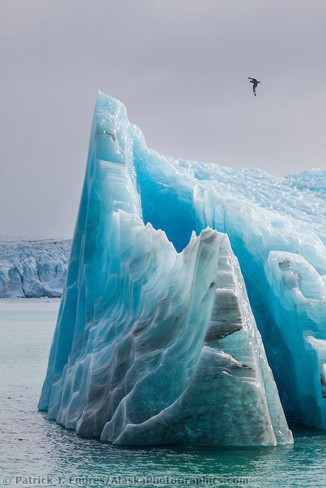 dispatchkara - blue-ice-veins - Glacier Icebergs, Svalbard,...