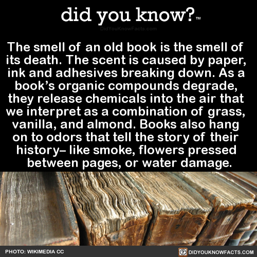 the-smell-of-an-old-book-is-the-smell-of-its