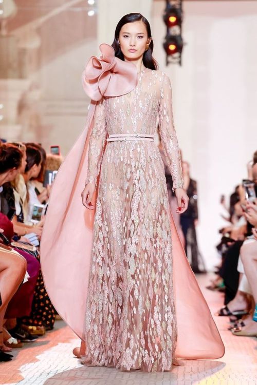 Elie Saab Couture Fall 2018 (2/4)
