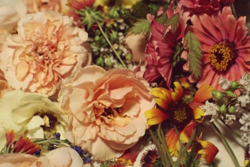 florealegiardini - Floral Menagerie ~ Rebecca Matthews