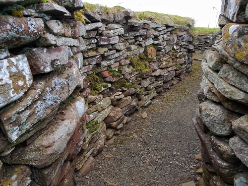 thesilicontribesman - Carlungie Earth House, Angus, Scotland,...