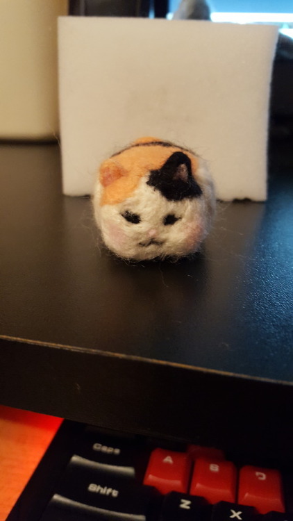 tiergan-vashir - dodos-and-coeurls - I made a tiny fat cat....