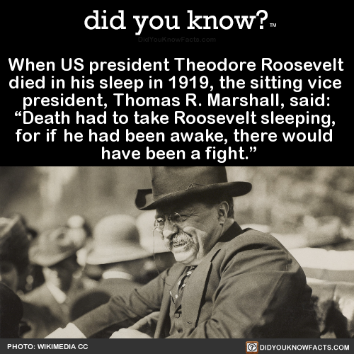 when-us-president-theodore-roosevelt-died-in-his