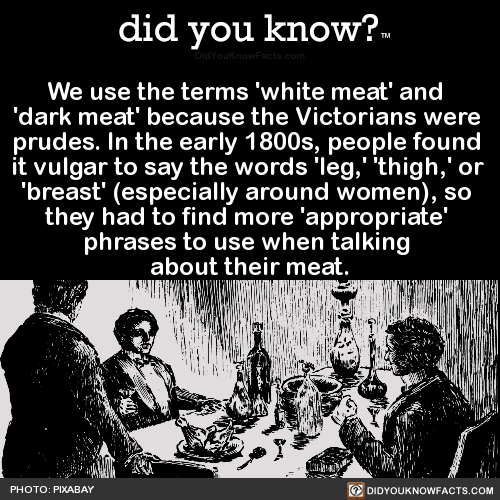 we-use-the-terms-white-meat-and-dark-meat