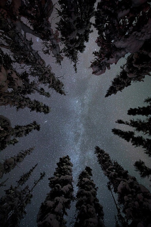 ourlittlesecretlust - ponderation - Starry Night by Adam Hill