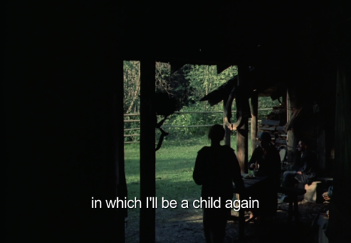 filmaticbby:Mirror (1975) dir. Andrei Tarkovsky