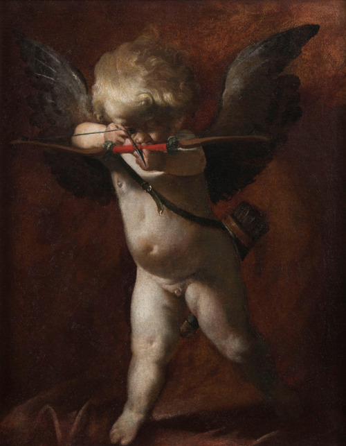 speciesbarocus - Luigi Miradori - Cupid Aiming His Arrow.