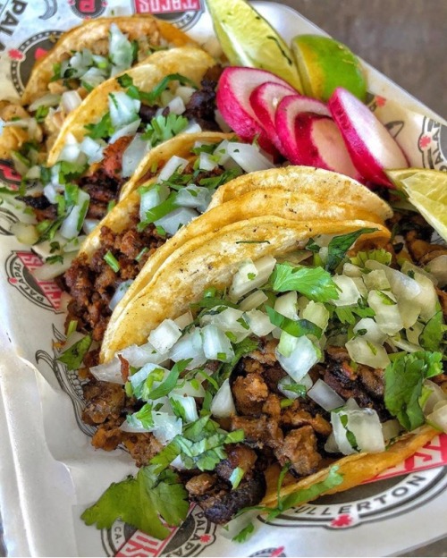 dr-archeville - cheskamouse - foodieapprovedeats - Palapas...