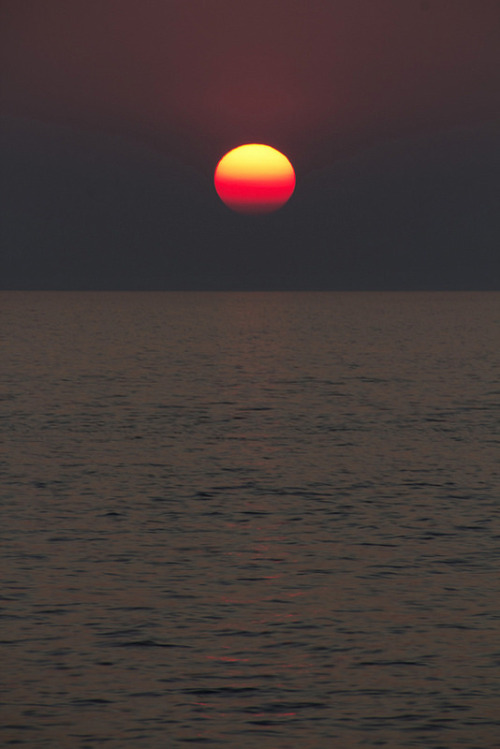 musts - rovinj croatia coloured sunset by Tom ClarkRovinj,...