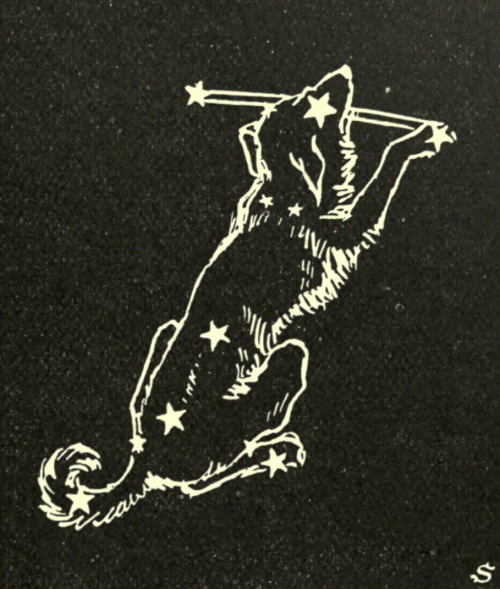 nemfrog:Canis major. “Sirius, the brightest star in the...